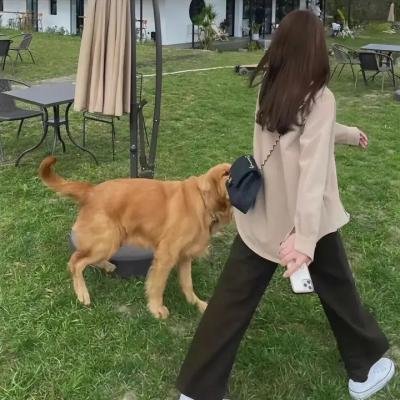 我的心跳你做主