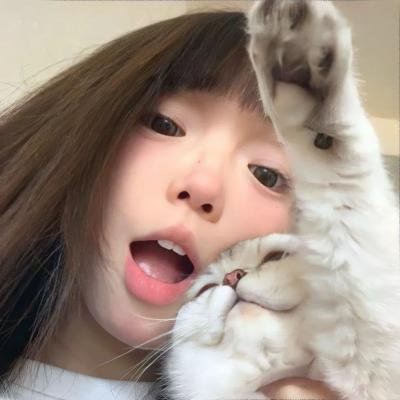 黑猫